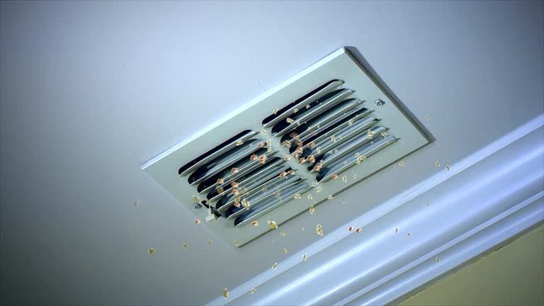 Best Home Air Vent Cleaning  in Hartshorne, OK